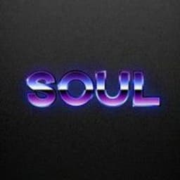 S0Ul13