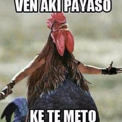 xCarranco23