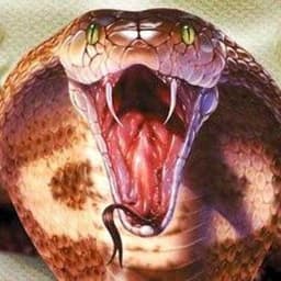 RF-Snake