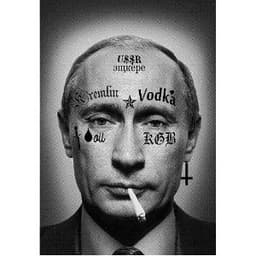 PUTINCS