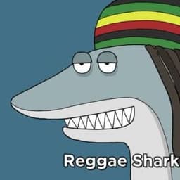 cekoswag