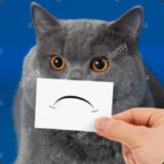 jaselee