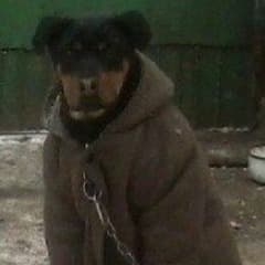 ZeeKey_our