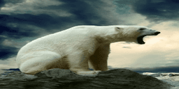 icebeard