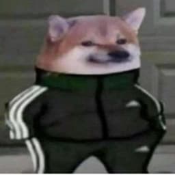 Chefsit0