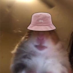 Died_Mau5