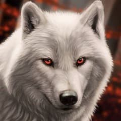 WaleraR