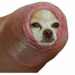 Ded_Pashtet