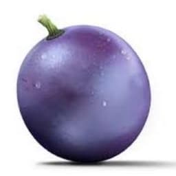 Tiny_Grape