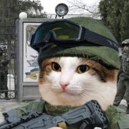 SoldierMeow