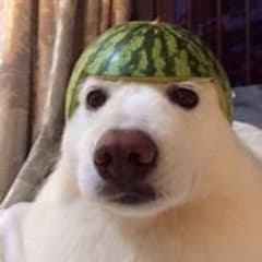 Treeky_