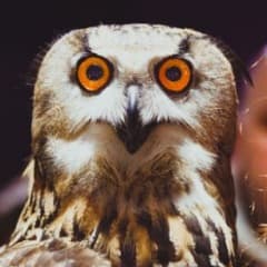 SturmStriX