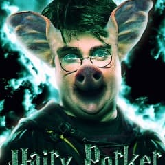 HarrySmopper