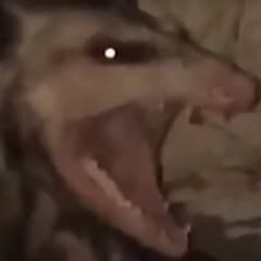 Th0rm0de