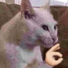 Meowsalot