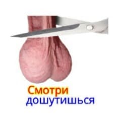 VELI4AISHII
