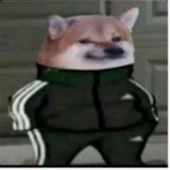 MagicPantzz