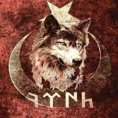 YaNaLu61
