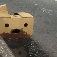 Boxmansfury