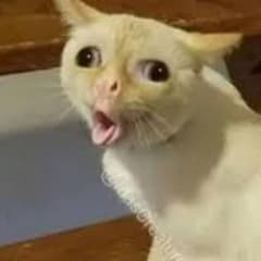 KimToDaChi