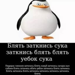 -Kotty-