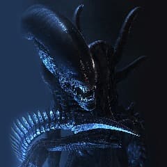Orthero