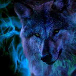 wolfy_pro