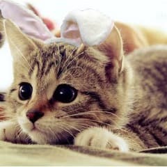 unstable_cat