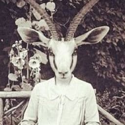 whitepimpx