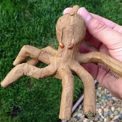 Frangoloko