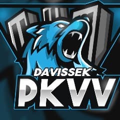 DaVissek1337