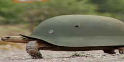 217