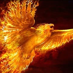 _Phoenix_CS