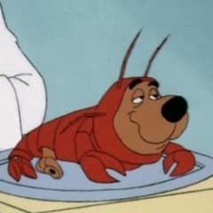 SHLAVIDSCKIY