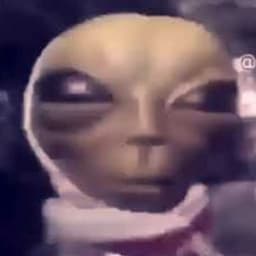 krusnamrva