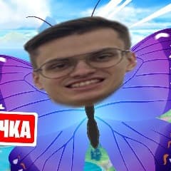 CheaseNotik