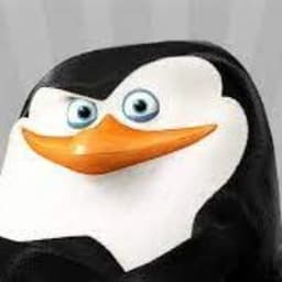 Mr_Shkiper