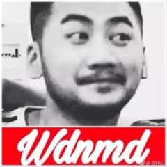 wdnmdzmr