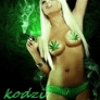 Kodzi