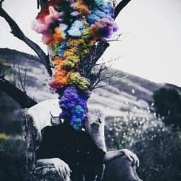 KindFall