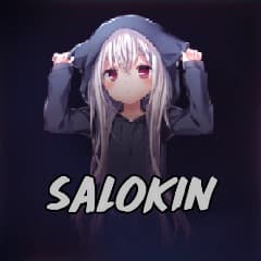 s4lokiN