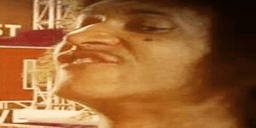 TheHowinator