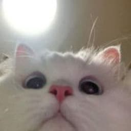 wennyy