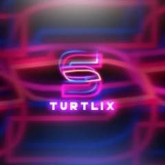 TurtliX