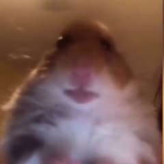 REDASER