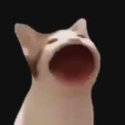 DunkeyNN
