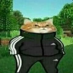 u3BpaLLLyGa