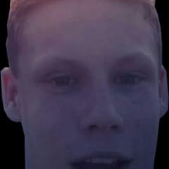 _Seebaer