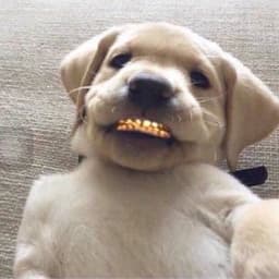 Lowjkey