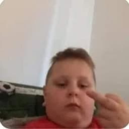 owca2k